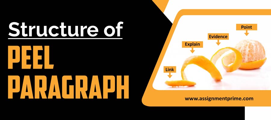 Structure of Peel Paragraph